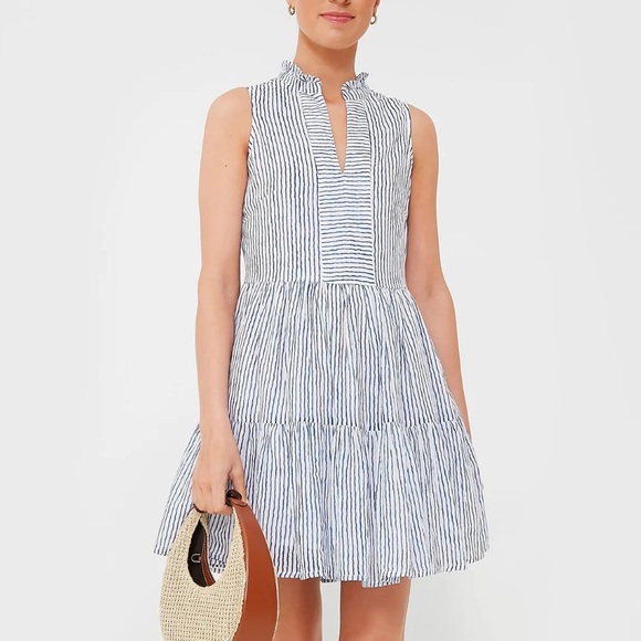 Tuckernuck Dresses & Skirts - OLIPHANT Exclusive Blue Wiggy Yoke Dress